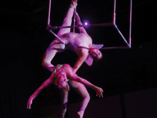 toronto circus hoop silks trapeze entertainment events performance wedding