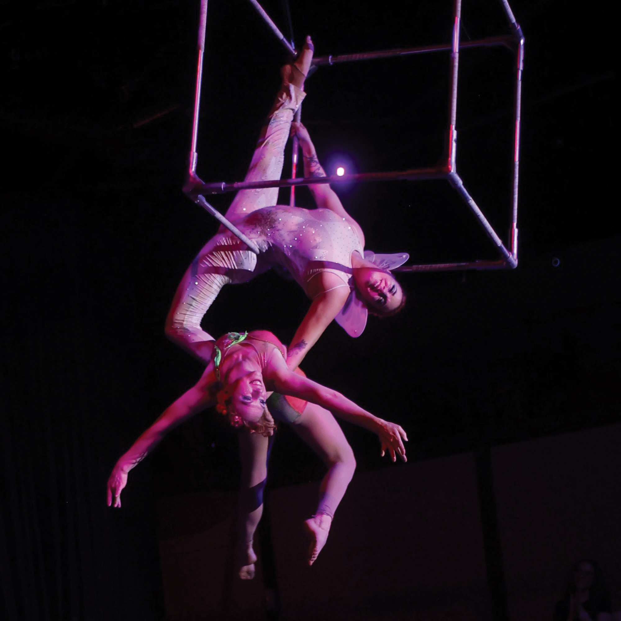 toronto circus hoop silks trapeze entertainment events performance wedding