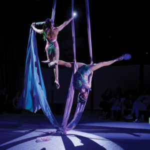 toronto circus trapeze entertainment events performance wedding