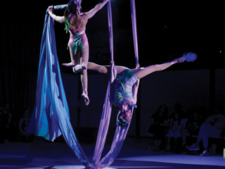 toronto circus trapeze entertainment events performance wedding