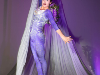 toronto circus hoop silks trapeze entertainment events performance wedding
