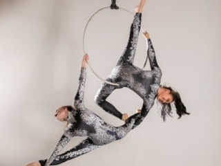 toronto circus hoop silks trapeze entertainment events performance wedding