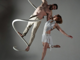 toronto circus hoop silks trapeze entertainment events performance wedding