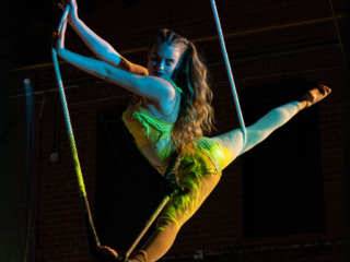 toronto circus hoop silks trapeze entertainment events performance wedding