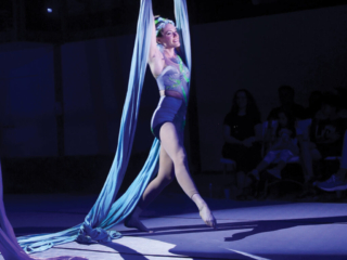 toronto circus silks trapeze entertainment events performance wedding